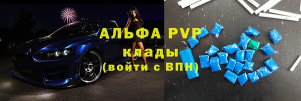 индика Арсеньев