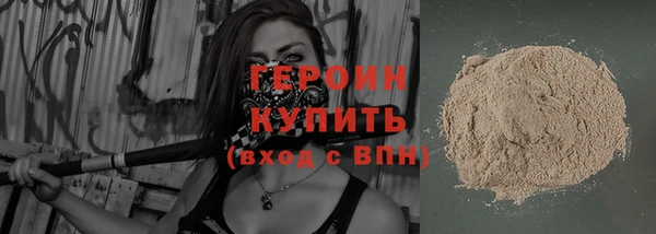индика Арсеньев
