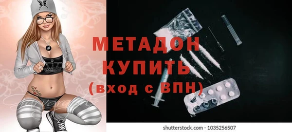 индика Арсеньев