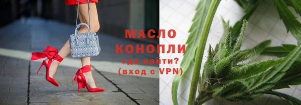 индика Арсеньев