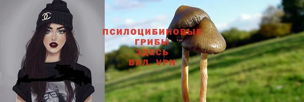 индика Арсеньев