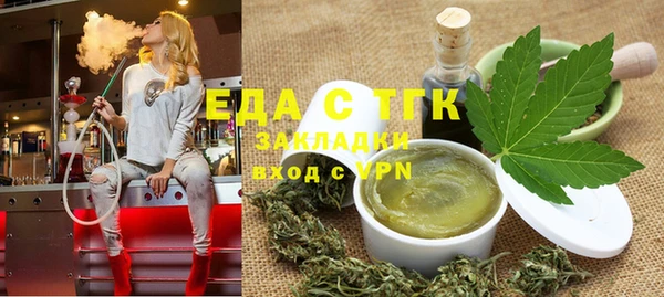 индика Арсеньев