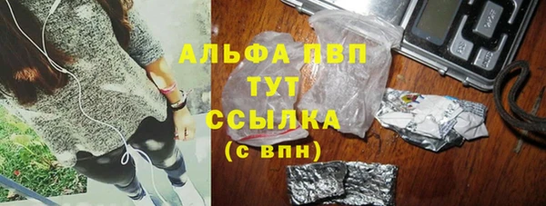 индика Арсеньев